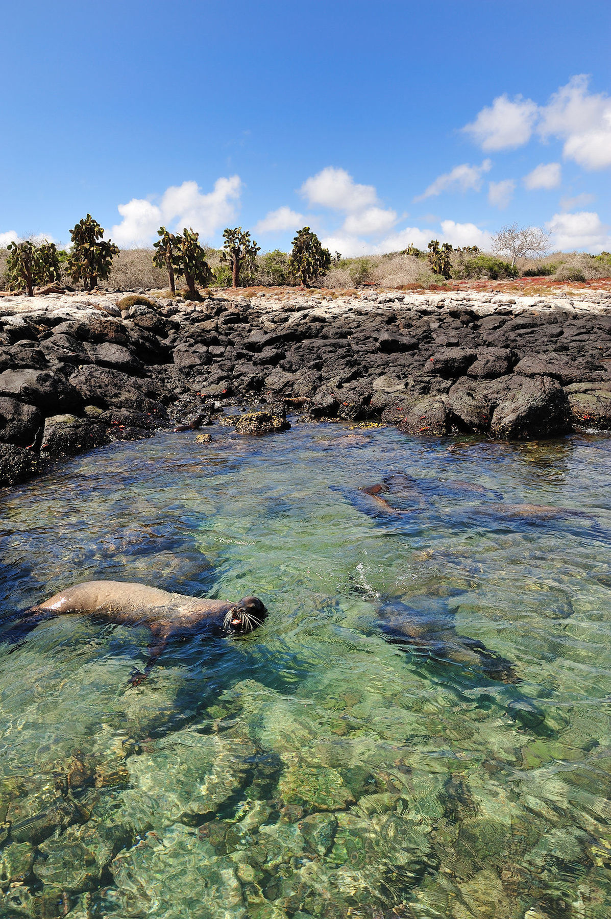 Pikaia Lodge Santa Cruz Island Luaran gambar